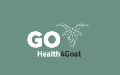 Presentación de proyecto GO-HEALTH4GOAT